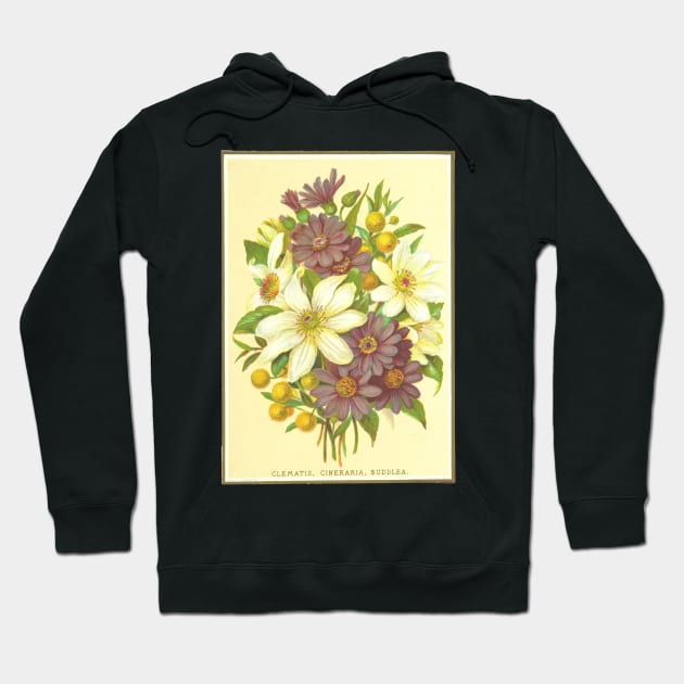 Clematis, Cineraria, Buddlea Hoodie by Seventy Seven